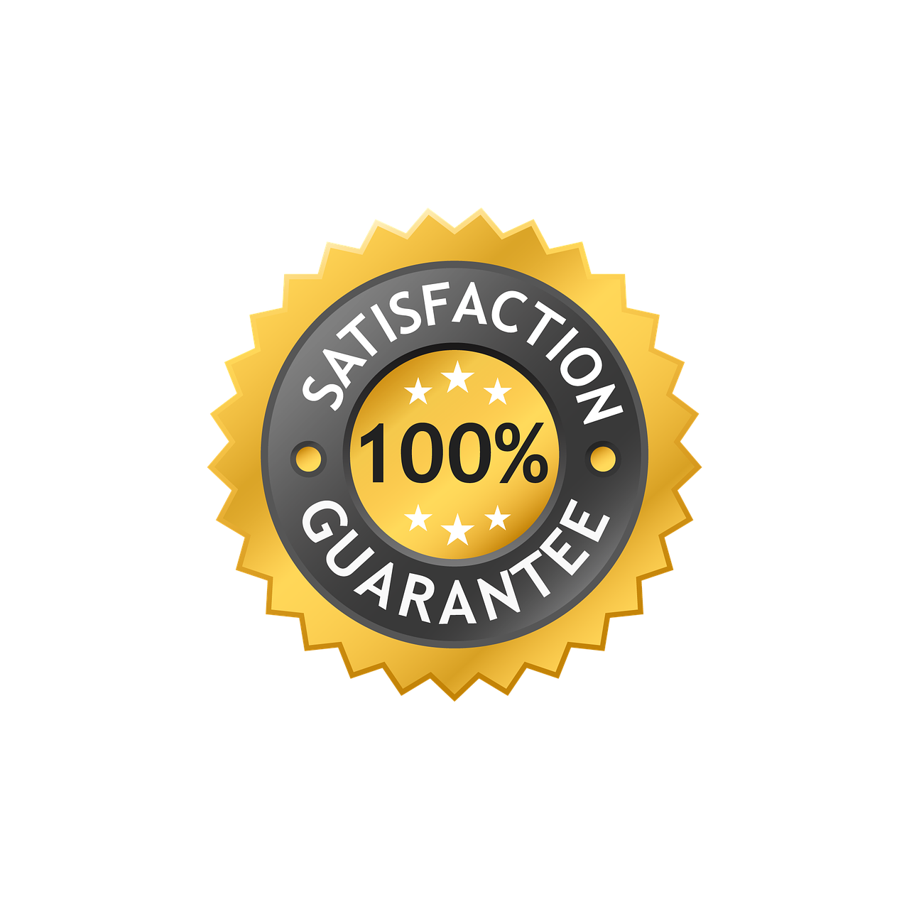 PACK DE 20 THE DU REIN 100% NATUREL(Purifiez vos reins en seulement 7 jours) Satisfait ou remboursé